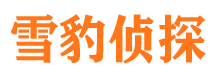 南山市私家侦探